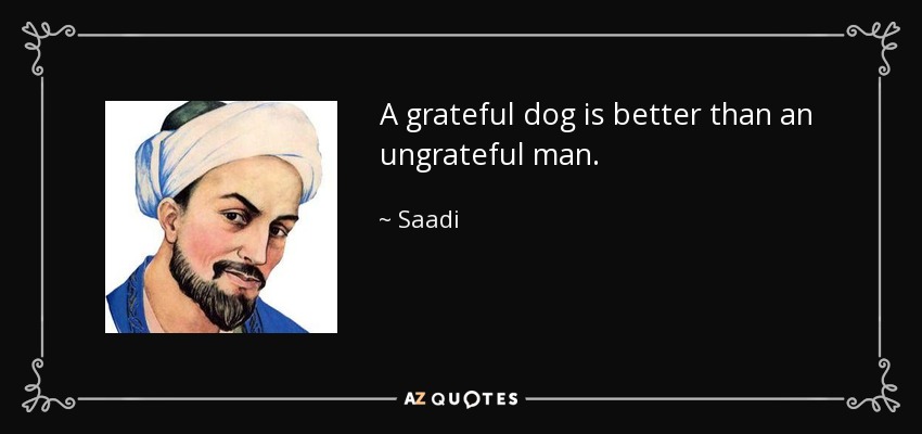 A grateful dog is better than an ungrateful man. - Saadi