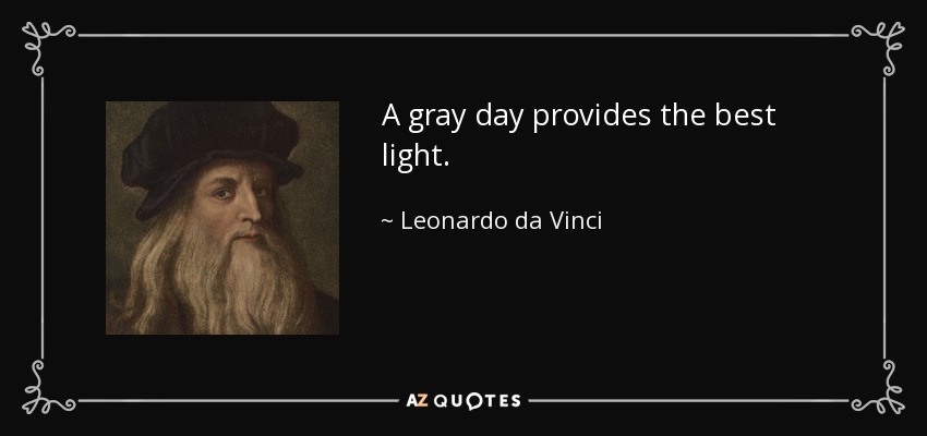 A gray day provides the best light. - Leonardo da Vinci