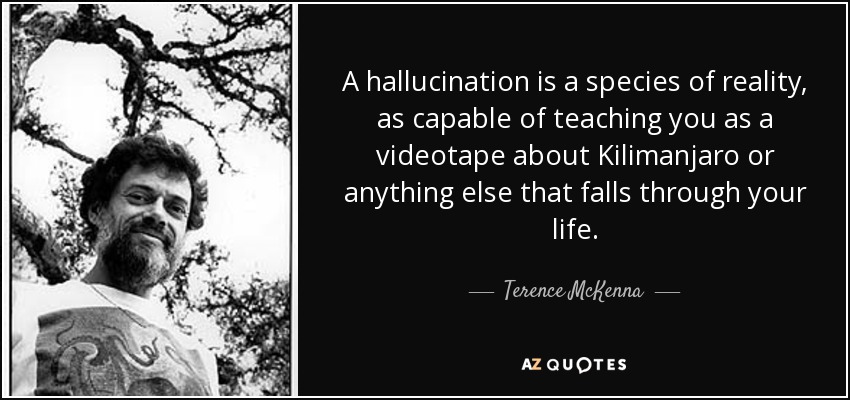 A hallucination is a species of reality, as capable of teaching you as a videotape about Kilimanjaro or anything else that falls through your life. - Terence McKenna