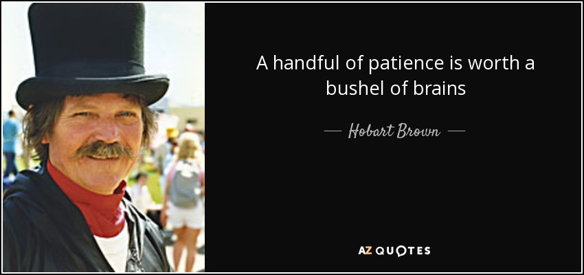 A handful of patience is worth a bushel of brains - Hobart Brown