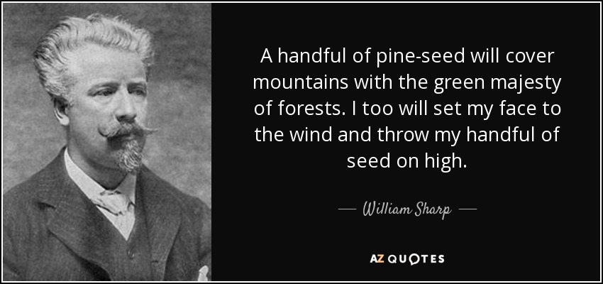 A handful of pine-seed will cover mountains with the green majesty of forests. I too will set my face to the wind and throw my handful of seed on high. - William Sharp