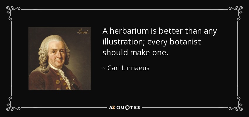A herbarium is better than any illustration; every botanist should make one. - Carl Linnaeus