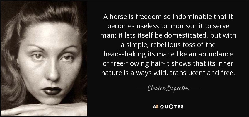 A horse is freedom so indominable that it becomes useless to imprison it to serve man: it lets itself be domesticated, but with a simple, rebellious toss of the head-shaking its mane like an abundance of free-flowing hair-it shows that its inner nature is always wild, translucent and free. - Clarice Lispector