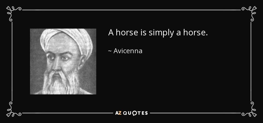 A horse is simply a horse. - Avicenna