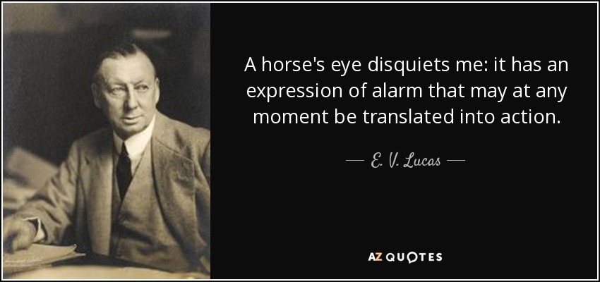 A horse's eye disquiets me: it has an expression of alarm that may at any moment be translated into action. - E. V. Lucas