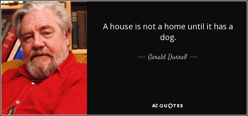 A house is not a home until it has a dog. - Gerald Durrell