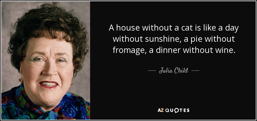 A house without a cat is like a day without sunshine, a pie without fromage, a dinner without wine. - Julia Child
