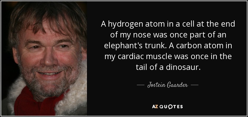A hydrogen atom in a cell at the end of my nose was once part of an elephant's trunk. A carbon atom in my cardiac muscle was once in the tail of a dinosaur. - Jostein Gaarder