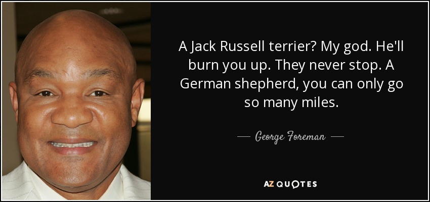 A Jack Russell terrier? My god. He'll burn you up. They never stop. A German shepherd, you can only go so many miles. - George Foreman