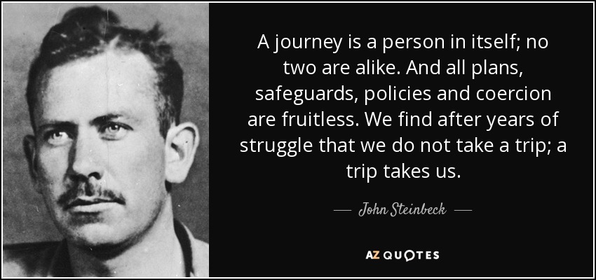 A journey is a person in itself; no two are alike. And all plans, safeguards, policies and coercion are fruitless. We find after years of struggle that we do not take a trip; a trip takes us. - John Steinbeck