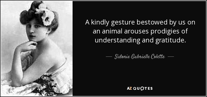 A kindly gesture bestowed by us on an animal arouses prodigies of understanding and gratitude. - Sidonie Gabrielle Colette
