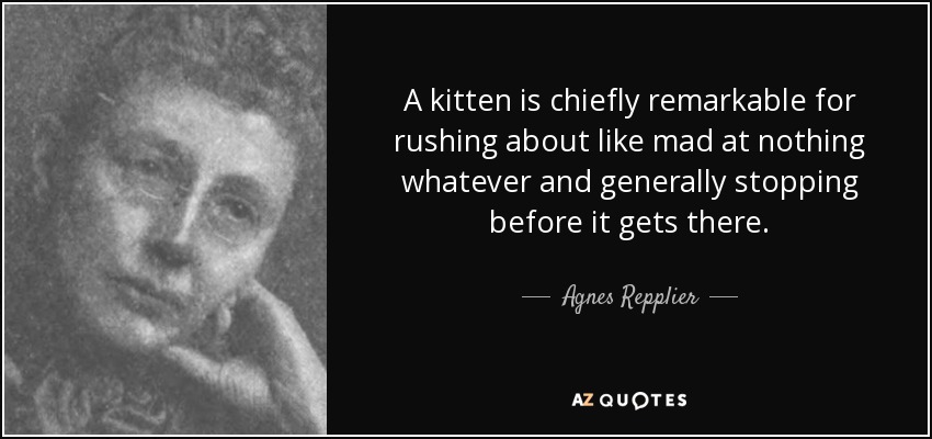A kitten is chiefly remarkable for rushing about like mad at nothing whatever and generally stopping before it gets there. - Agnes Repplier