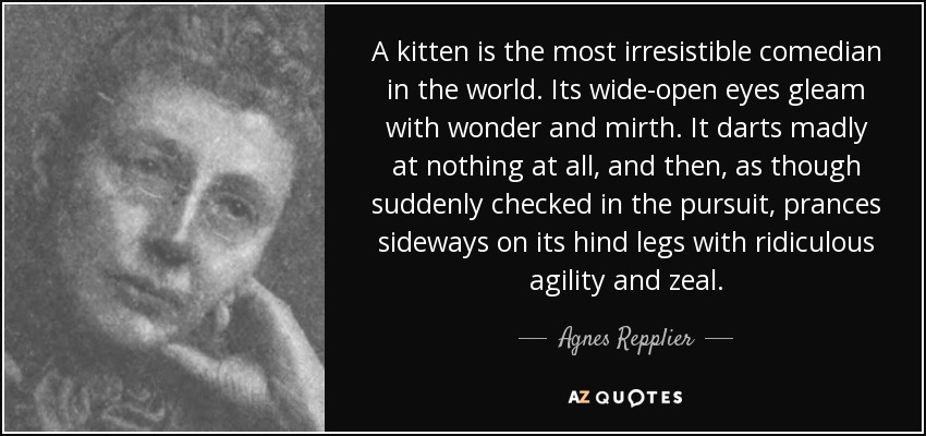 A kitten is the most irresistible comedian in the world. Its wide-open eyes gleam with wonder and mirth. It darts madly at nothing at all, and then, as though suddenly checked in the pursuit, prances sideways on its hind legs with ridiculous agility and zeal. - Agnes Repplier