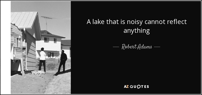 A lake that is noisy cannot reflect anything - Robert Adams