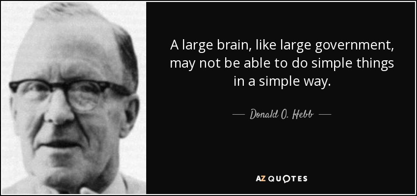 A large brain, like large government, may not be able to do simple things in a simple way. - Donald O. Hebb