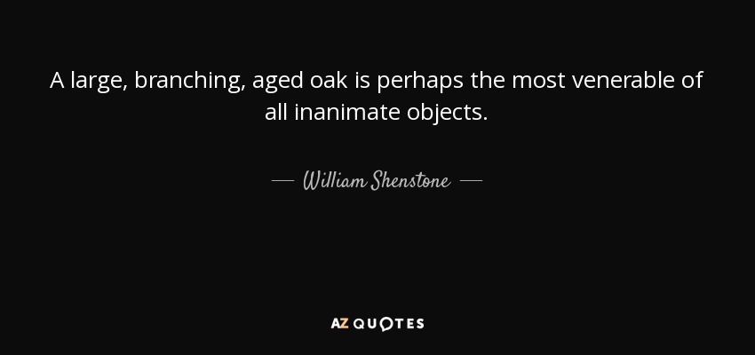 A large, branching, aged oak is perhaps the most venerable of all inanimate objects. - William Shenstone