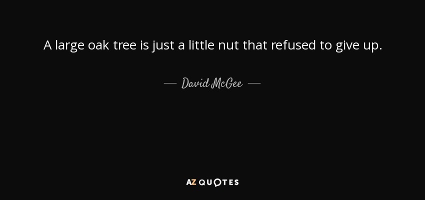 A large oak tree is just a little nut that refused to give up. - David McGee