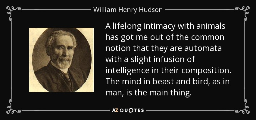 A lifelong intimacy with animals has got me out of the common notion that they are automata with a slight infusion of intelligence in their composition. The mind in beast and bird, as in man, is the main thing. - William Henry Hudson