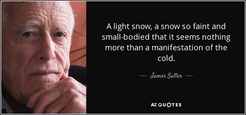 A light snow, a snow so faint and small-bodied that it seems nothing more than a manifestation of the cold. - James Salter