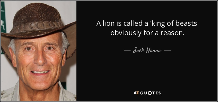 A lion is called a 'king of beasts' obviously for a reason. - Jack Hanna