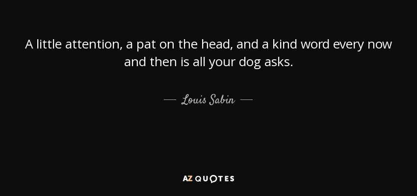 A little attention, a pat on the head, and a kind word every now and then is all your dog asks. - Louis Sabin
