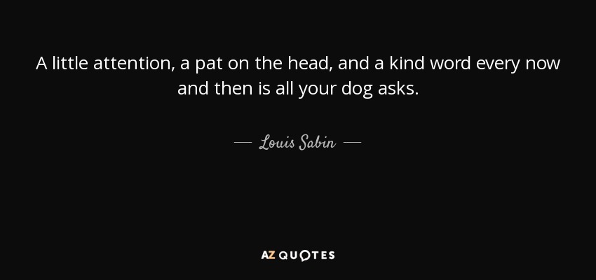 A little attention, a pat on the head, and a kind word every now and then is all your dog asks. - Louis Sabin