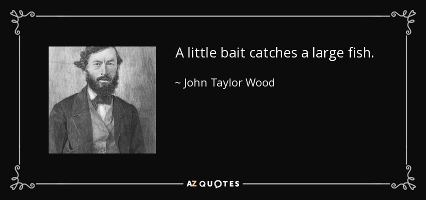 A little bait catches a large fish. - John Taylor Wood