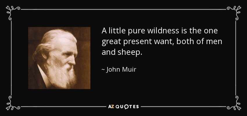 A little pure wildness is the one great present want, both of men and sheep. - John Muir
