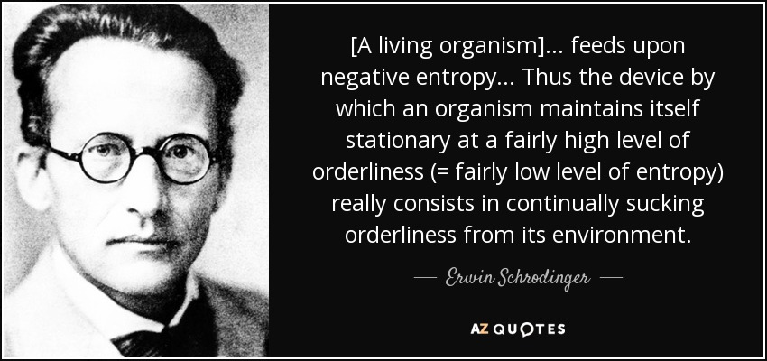 [A living organism] ... feeds upon negative entropy ... Thus the device by which an organism maintains itself stationary at a fairly high level of orderliness (= fairly low level of entropy) really consists in continually sucking orderliness from its environment. - Erwin Schrodinger