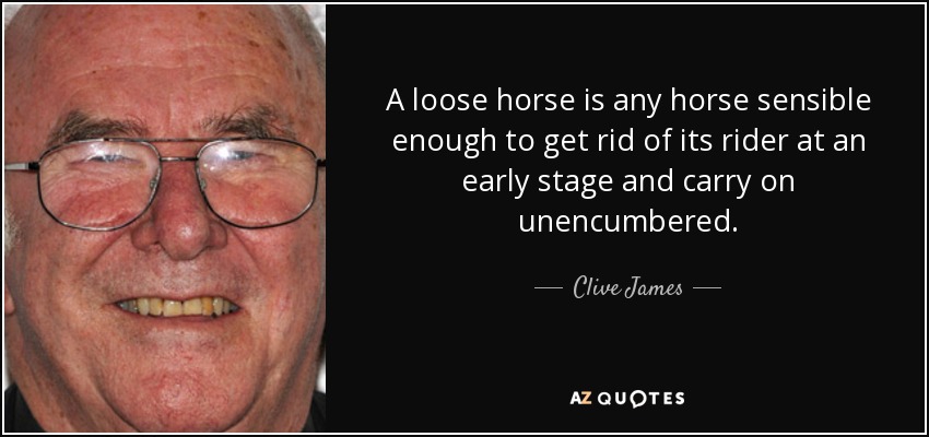 A loose horse is any horse sensible enough to get rid of its rider at an early stage and carry on unencumbered. - Clive James