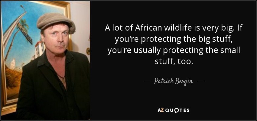 A lot of African wildlife is very big. If you're protecting the big stuff, you're usually protecting the small stuff, too. - Patrick Bergin