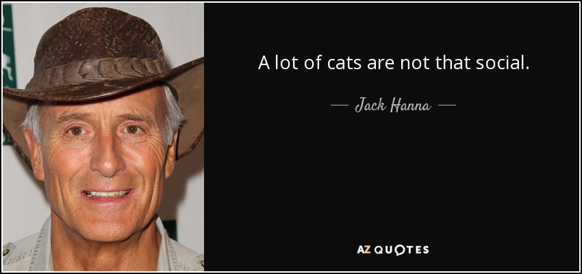 A lot of cats are not that social. - Jack Hanna