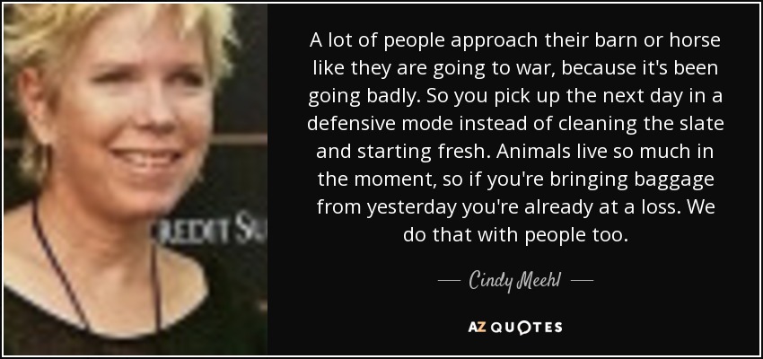 A lot of people approach their barn or horse like they are going to war, because it's been going badly. So you pick up the next day in a defensive mode instead of cleaning the slate and starting fresh. Animals live so much in the moment, so if you're bringing baggage from yesterday you're already at a loss. We do that with people too. - Cindy Meehl