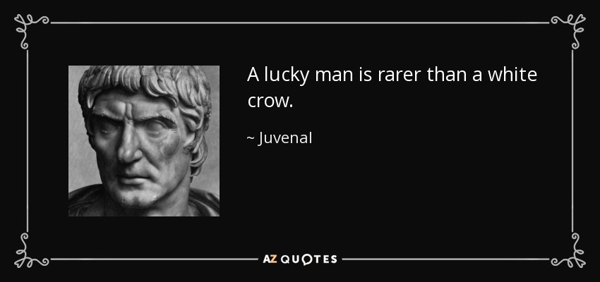 A lucky man is rarer than a white crow. - Juvenal