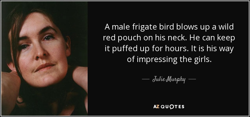 A male frigate bird blows up a wild red pouch on his neck. He can keep it puffed up for hours. It is his way of impressing the girls. - Julie Murphy