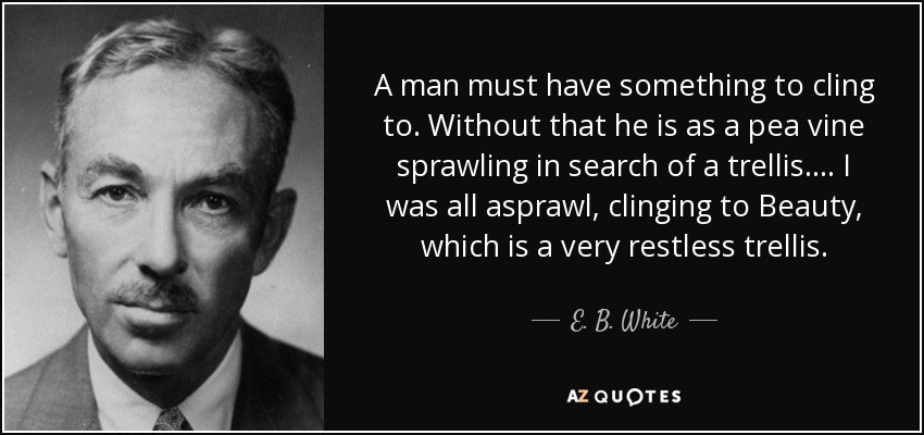 A man must have something to cling to. Without that he is as a pea vine sprawling in search of a trellis.... I was all asprawl, clinging to Beauty, which is a very restless trellis. - E. B. White