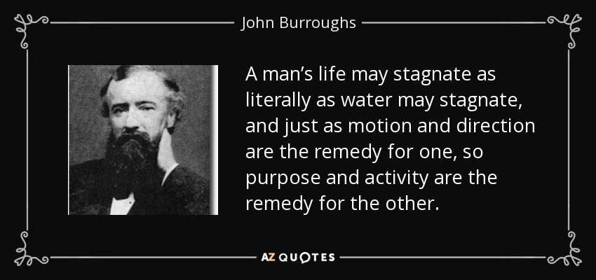A man’s life may stagnate as literally as water may stagnate, and just as motion and direction are the remedy for one, so purpose and activity are the remedy for the other. - John Burroughs