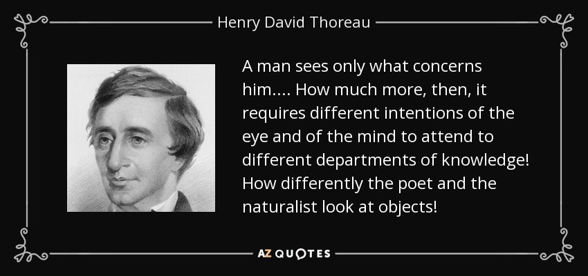 A man sees only what concerns him.... How much more, then, it requires different intentions of the eye and of the mind to attend to different departments of knowledge! How differently the poet and the naturalist look at objects! - Henry David Thoreau