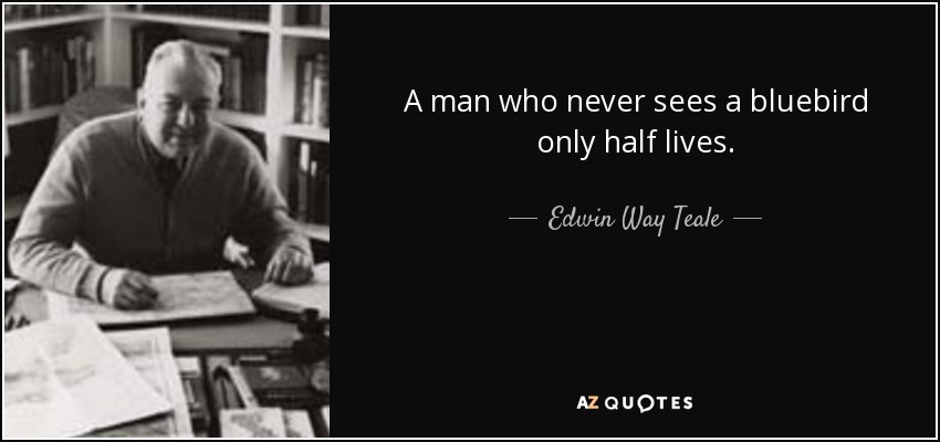 A man who never sees a bluebird only half lives. - Edwin Way Teale
