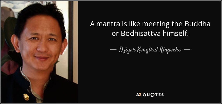 A mantra is like meeting the Buddha or Bodhisattva himself. - Dzigar Kongtrul Rinpoche