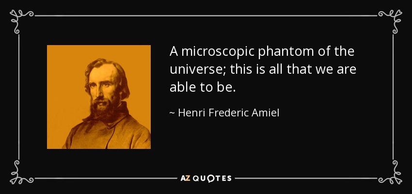 A microscopic phantom of the universe; this is all that we are able to be. - Henri Frederic Amiel