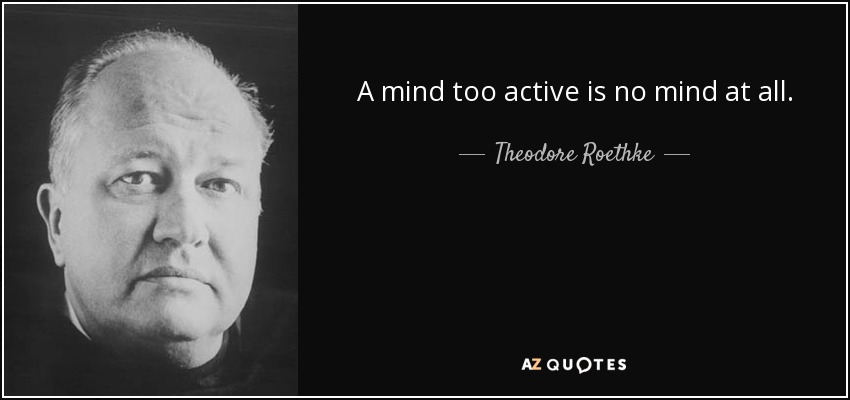 A mind too active is no mind at all. - Theodore Roethke
