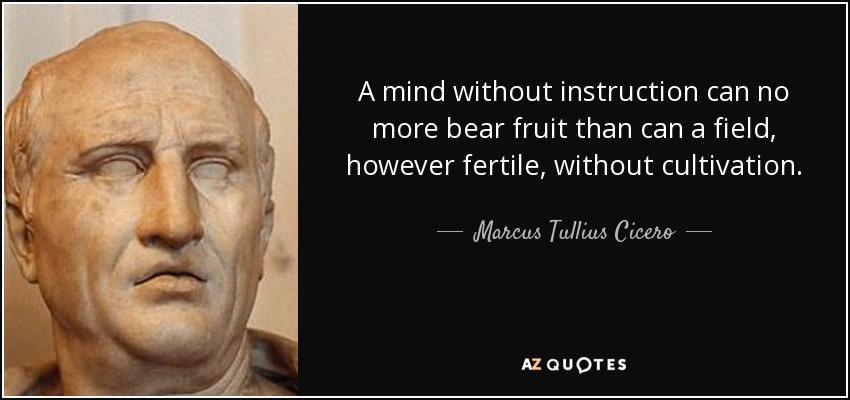 A mind without instruction can no more bear fruit than can a field, however fertile, without cultivation. - Marcus Tullius Cicero