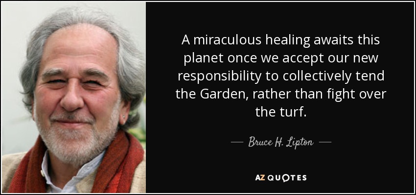 A miraculous healing awaits this planet once we accept our new responsibility to collectively tend the Garden, rather than fight over the turf. - Bruce H. Lipton