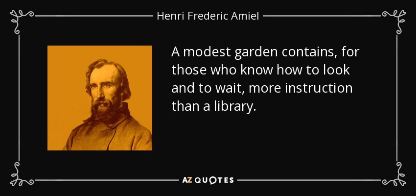 A modest garden contains, for those who know how to look and to wait, more instruction than a library. - Henri Frederic Amiel