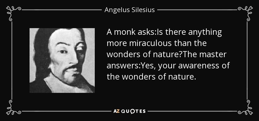 A monk asks:Is there anything more miraculous than the wonders of nature?The master answers:Yes, your awareness of the wonders of nature. - Angelus Silesius