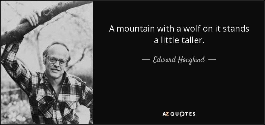 A mountain with a wolf on it stands a little taller. - Edward Hoagland