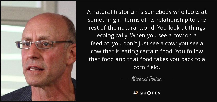 A natural historian is somebody who looks at something in terms of its relationship to the rest of the natural world. You look at things ecologically. When you see a cow on a feedlot, you don't just see a cow; you see a cow that is eating certain food. You follow that food and that food takes you back to a corn field. - Michael Pollan