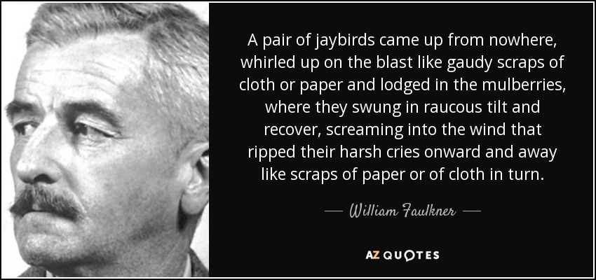 A pair of jaybirds came up from nowhere, whirled up on the blast like gaudy scraps of cloth or paper and lodged in the mulberries, where they swung in raucous tilt and recover, screaming into the wind that ripped their harsh cries onward and away like scraps of paper or of cloth in turn. - William Faulkner