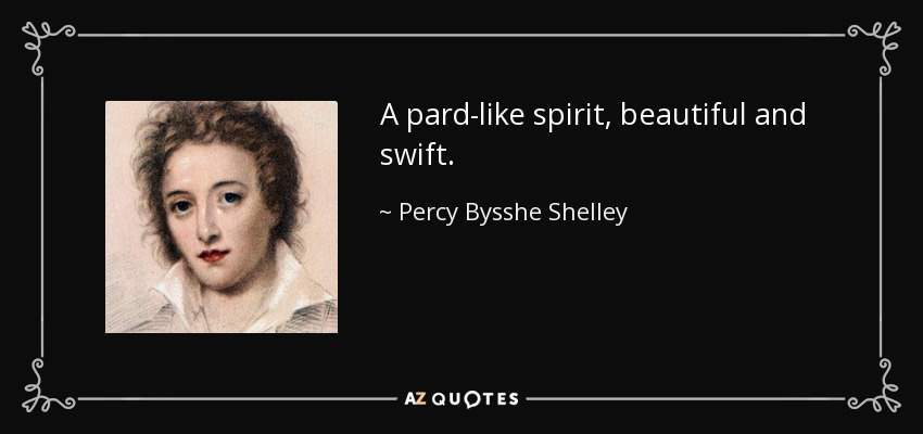 A pard-like spirit, beautiful and swift. - Percy Bysshe Shelley